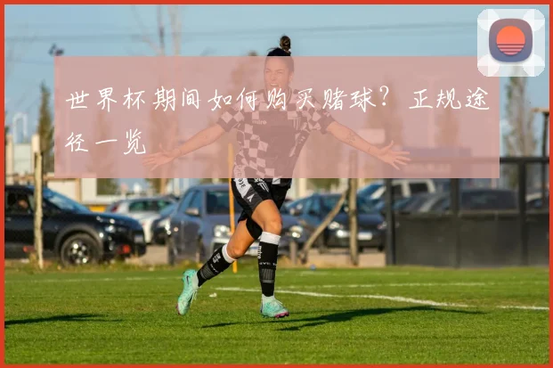 世界杯期间如何购买赌球?正规途径一览