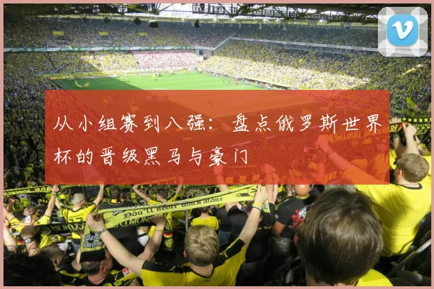 从小组赛到八强：盘点俄罗斯世界杯的晋级黑马与豪门