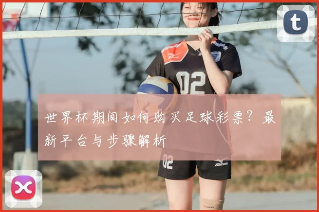 世界杯期间如何购买足球彩票?最新平台与步骤解析