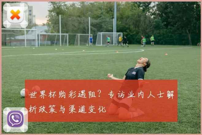 世界杯购彩遇阻?专访业内人士解析政策与渠道变化