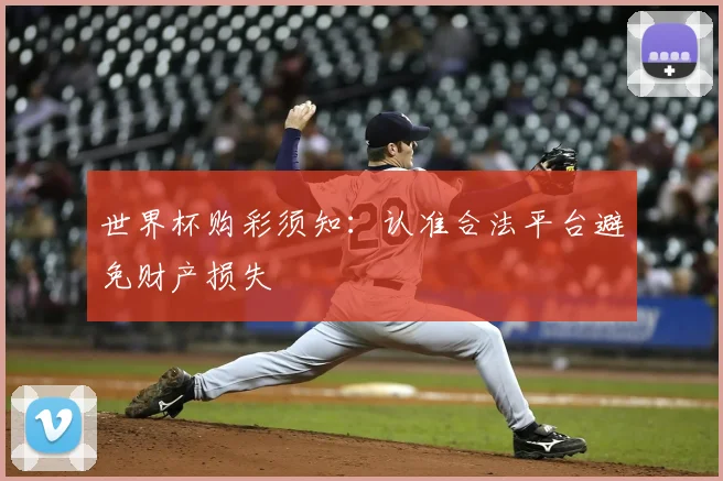 世界杯购彩须知:认准合法平台避免财产损失