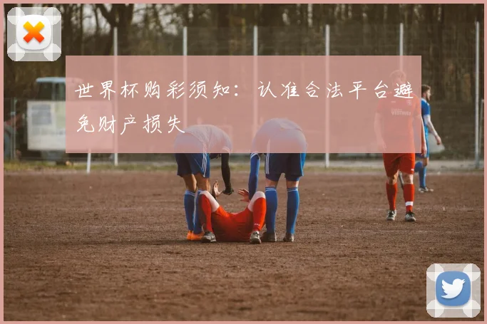 世界杯购彩须知:认准合法平台避免财产损失
