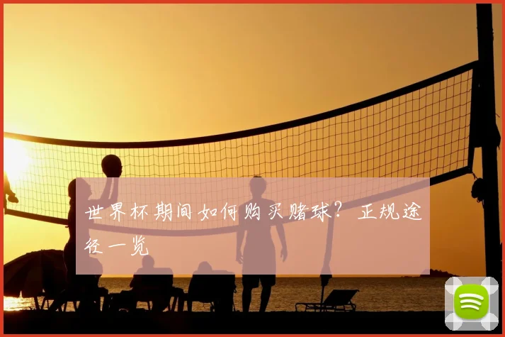 世界杯期间如何购买赌球？正规途径一览