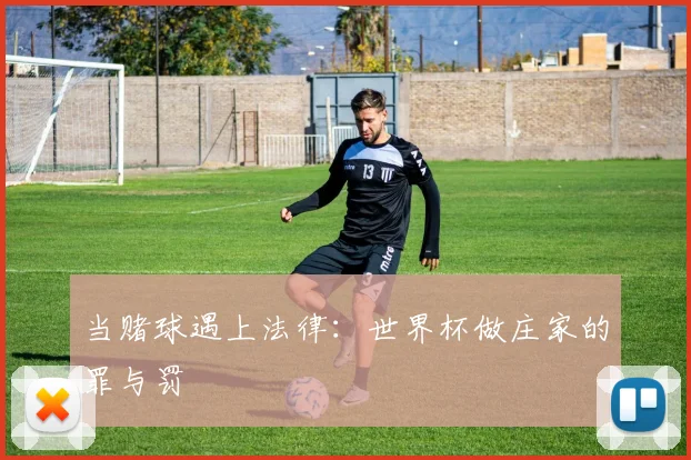 当赌球遇上法律：世界杯做庄家的罪与罚