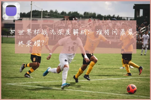 世界杯战况深度解析：谁将问鼎最终荣耀？